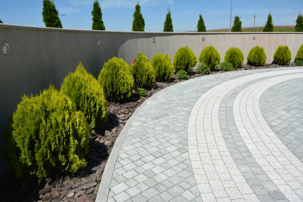 Best Driveway Repair Near Me  in Sycamore, IL